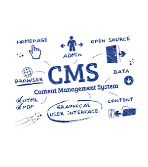 CMS Development Company Jaipur