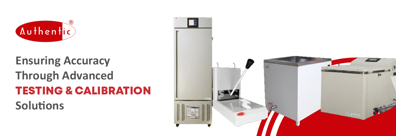 Savio Designed and Developed By iCreators